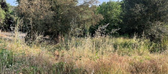  Land in Girona, Spain No. 161274 6