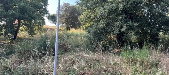  Land in Girona, Spain No. 161274 2