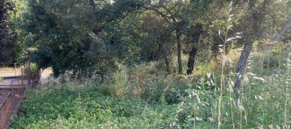  Land in Girona, Spain No. 161274 5