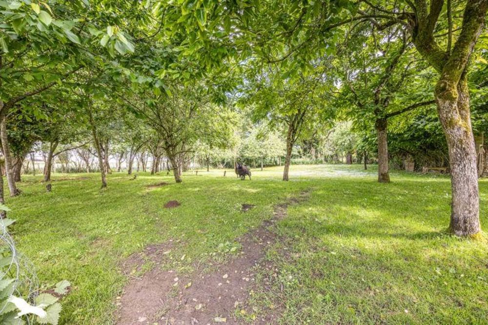 4 bedrooms House in Fontenay-le-Comte, France No. 285177