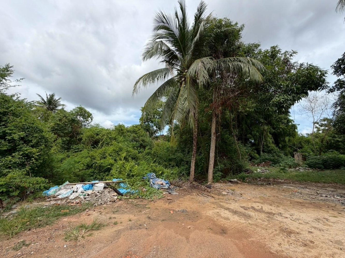 Земельный участок 1600м² в Сураттхани, Таиланд № 72603