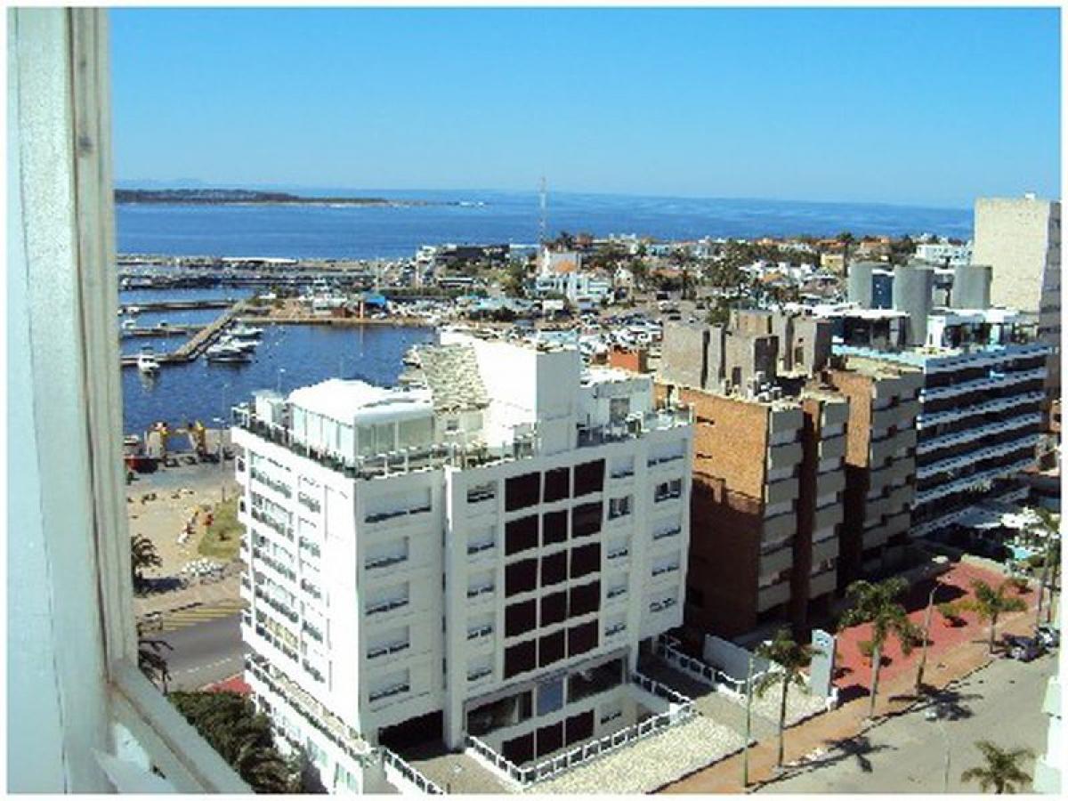 Studio in Maldonado, Uruguay No. 10453