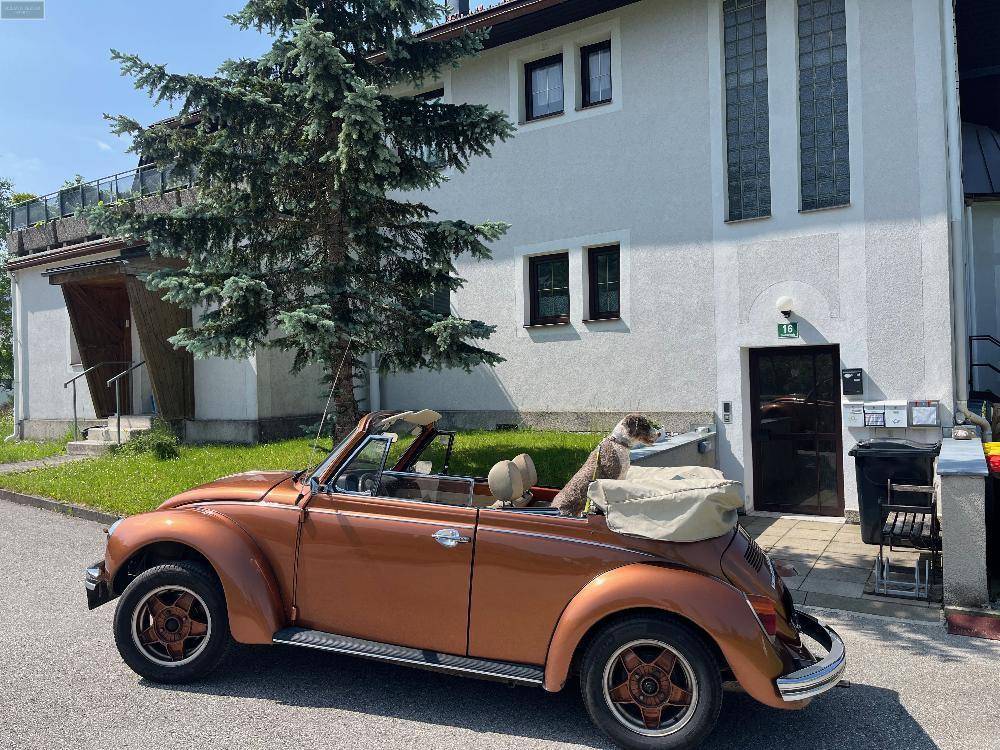 3 غرف نوم شقة في Mariazell, Austria رقم 260032