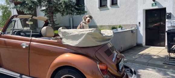 3 غرف نوم شقة في Mariazell, Austria رقم 260032 18