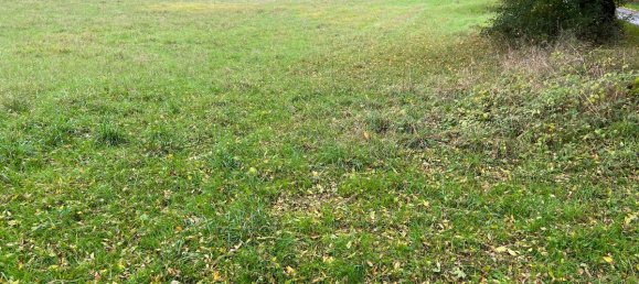  Land in Lesterps, France No. 123279 2