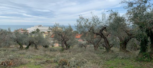 قطعة أرض في Silvi, Italy 9805متر مربع رقم 74456 22