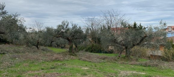  قطعة أرض في Silvi, Italy 9805متر مربع رقم 74456 16