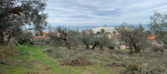  قطعة أرض في Silvi, Italy 9805متر مربع رقم 74456 28