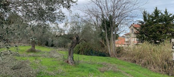  قطعة أرض في Silvi, Italy 9805متر مربع رقم 74456 17