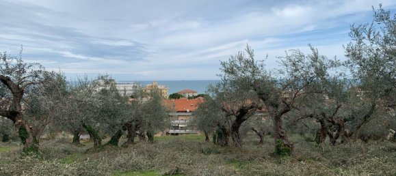  قطعة أرض في Silvi, Italy 9805متر مربع رقم 74456 23