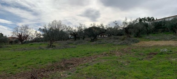  قطعة أرض في Silvi, Italy 9805متر مربع رقم 74456 20