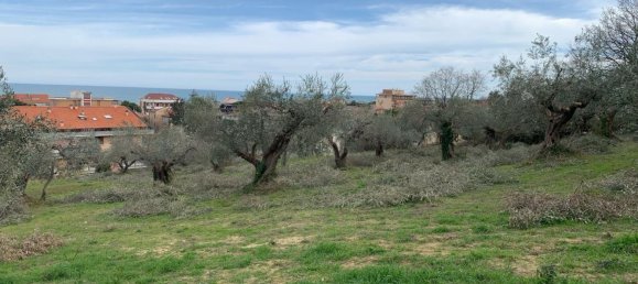  قطعة أرض في Silvi, Italy 9805متر مربع رقم 74456 30