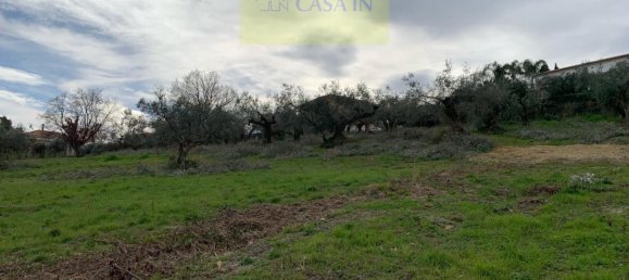  قطعة أرض في Silvi, Italy 9805متر مربع رقم 74456 4