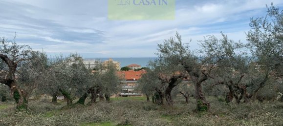  قطعة أرض في Silvi, Italy 9805متر مربع رقم 74456 37