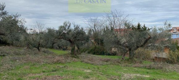  قطعة أرض في Silvi, Italy 9805متر مربع رقم 74456 45