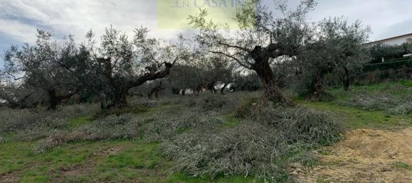  قطعة أرض في Silvi, Italy 9805متر مربع رقم 74456 47