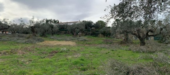  قطعة أرض في Silvi, Italy 9805متر مربع رقم 74456 21