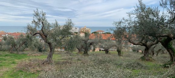  قطعة أرض في Silvi, Italy 9805متر مربع رقم 74456 25