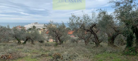  قطعة أرض في Silvi, Italy 9805متر مربع رقم 74456 40