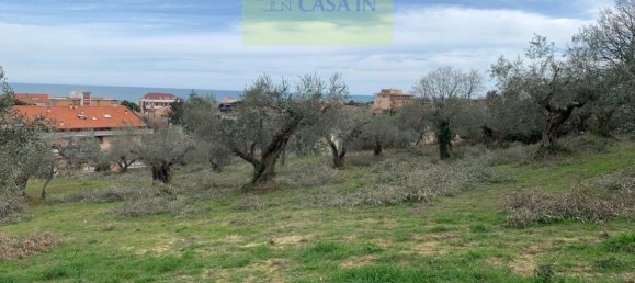  قطعة أرض في Silvi, Italy 9805متر مربع رقم 74456 43