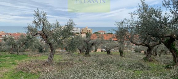  قطعة أرض في Silvi, Italy 9805متر مربع رقم 74456 39