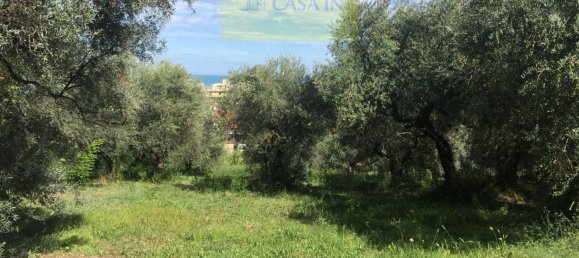  قطعة أرض في Silvi, Italy 9805متر مربع رقم 74456 5