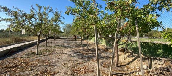 5 غرف نوم منزل في Sax, Spain رقم 136198 14