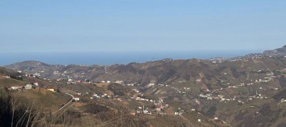 1 Schlafzimmer Property in Akcaabat, Turkey, Nr. 40956 14