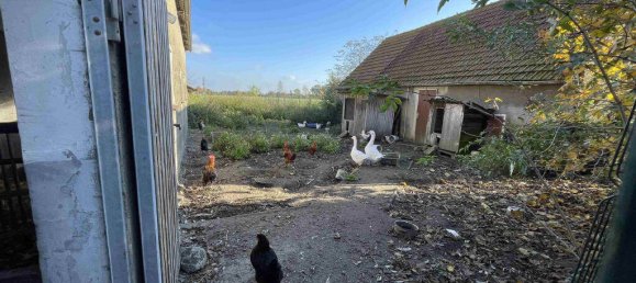 8 rooms Farm in Minden-Lubbecke, Germany No. 174705 12