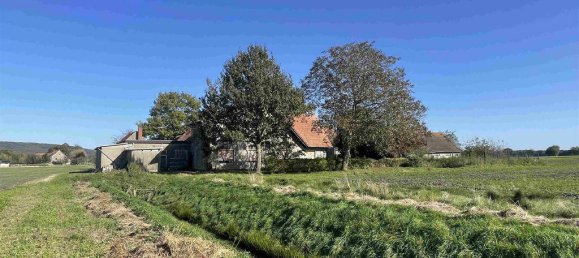 8 rooms Farm in Minden-Lubbecke, Germany No. 174705 6