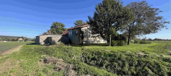 8 rooms Farm in Minden-Lubbecke, Germany No. 174705 5