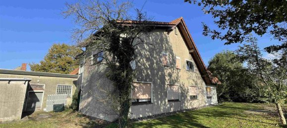 8 rooms Farm in Minden-Lubbecke, Germany No. 174705 7