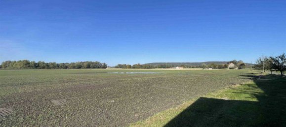 8 rooms Farm in Minden-Lubbecke, Germany No. 174705 14