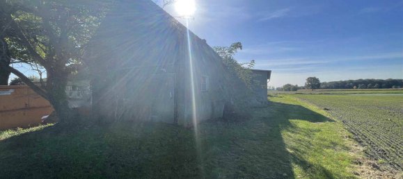 8 rooms Farm in Minden-Lubbecke, Germany No. 174705 4
