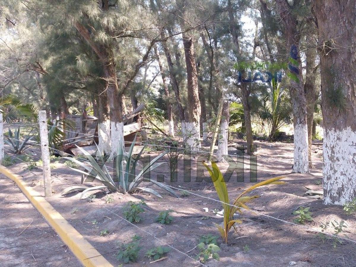 Grundstück in Veracruz, Mexico, Nr. 204144