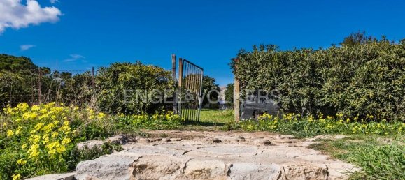 13000m² Land in Avola, Italy No. 126686 10