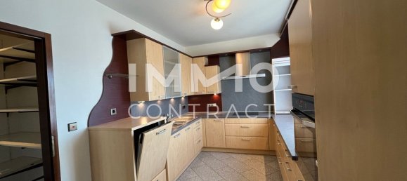 Imóvel comercial em Weikendorf, Austria 123 m² N.º 134582 4