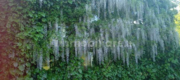 4 bedrooms Villa in Correzzola, Italy No. 375947 30