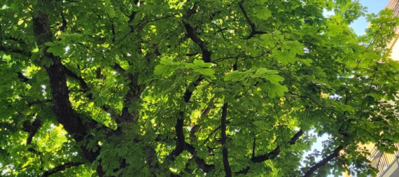 Apartamento de 2 dormitorios en Neukolln, Germany No. 238399 18