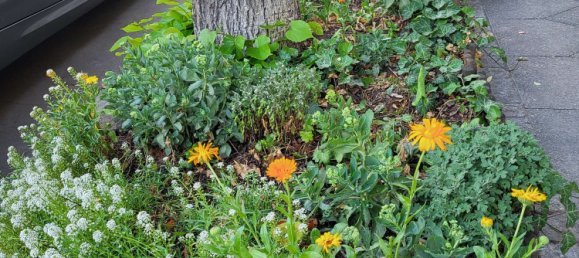 Apartamento de 2 dormitorios en Neukolln, Germany No. 238399 21