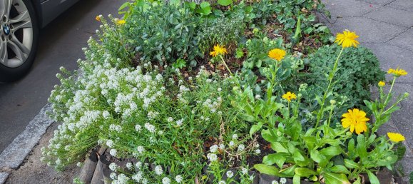 Apartamento de 2 dormitorios en Neukolln, Germany No. 238399 20