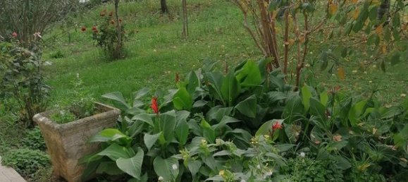 8 rooms Apartment in Fermignano, Italy No. 149711 16