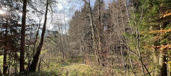 54289m² Land in Oberallgau, Germany No. 189670 6