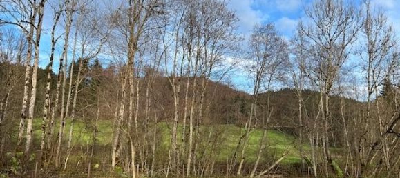 54289m² Land in Oberallgau, Germany No. 189670 8