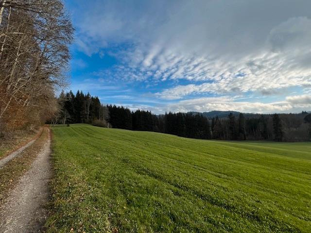 54289m² Land in Oberallgau, Germany No. 189670