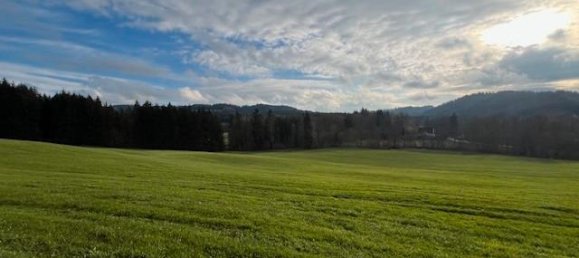 54289m² Land in Oberallgau, Germany No. 189670 5