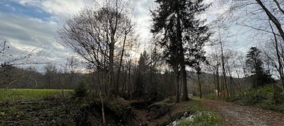 54289m² Land in Oberallgau, Germany No. 189670 2