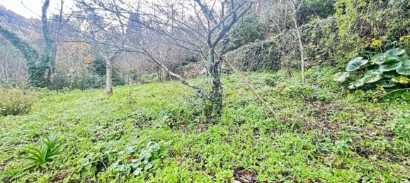 Villa T1 em Camogli, Italy N.º 188273 37