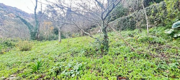 Villa T1 em Camogli, Italy N.º 188273 48