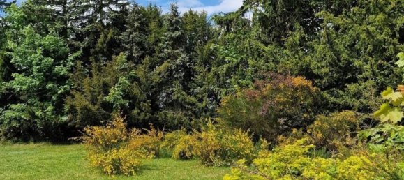 3-Zimmer Haus in Vogtlandkreis, Germany, Nr. 370118 7